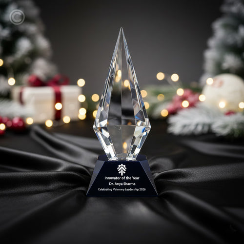 Premium Awards for Corporate Event